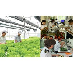 Biện pháp kiểm dịch thực vật có được áp dụng đối với hàng hóa là giống cây trồng không?