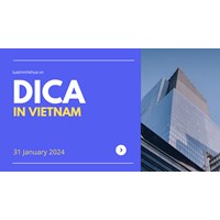 Direct Investment Capital Accounts: A Guide for Vietnamese Market
