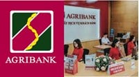Ý nghĩa logo của ngân hàng Agribank là gì?