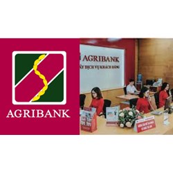 Ý nghĩa logo của ngân hàng Agribank là gì?