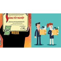 Có sa thải khi phát hiện người lao động sử dụng bằng cấp giả ?