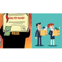 Có sa thải khi phát hiện người lao động sử dụng bằng cấp giả ?