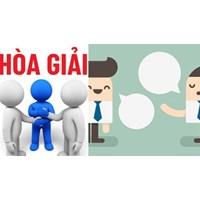 Người đại diện trong hòa giải tại tòa án nhân dân gồm những ai?