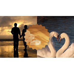 Write about your ideal lover in future