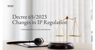 Decree No. 65/2023/ND-CP: Analysis of Changes in IP Regulations