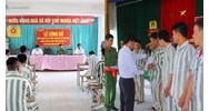 Phạm tội về giao thông được xét tha tù trước hạn dịp Tết Nguyên đán?