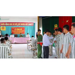 Phạm tội về giao thông được xét tha tù trước hạn dịp Tết Nguyên đán?