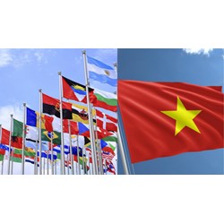 Quy định về ngôn ngữ, hình thức của điều ước quốc tế như thế nào?