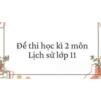 Đề thi Học kì 2 Lịch sử 11 có đáp án chi tiết nhất