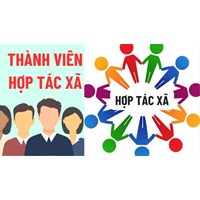 Thành viên hợp tác xã có được trả lại vốn góp khi ra khỏi HTX?