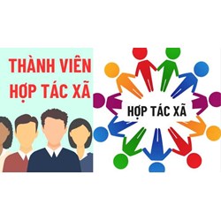 Thành viên hợp tác xã có được trả lại vốn góp khi ra khỏi HTX?
