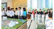 Sàn giao dịch bất động sản là doanh nghiệp độc lập hay đơn vị phụ thuộc