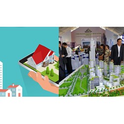 Sàn giao dịch BĐS là đơn vị phụ thuộc của công ty TNHH hay CTCP?