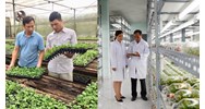 Dùng nhà ở làm nơi sản xuất giống cây trồng lâm nghiệp được không