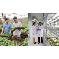 Dùng nhà ở làm nơi sản xuất giống cây trồng lâm nghiệp được không