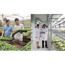 Dùng nhà ở làm nơi sản xuất giống cây trồng lâm nghiệp được không