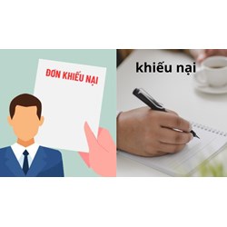 Quyết định bị khiếu nại có buộc phải tạm đình chỉ thi hành không?