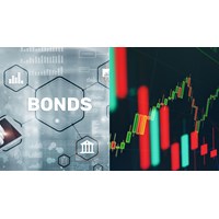 Báo cáo kết quả đợt chào bán trái phiếu ra công chúng mới nhất