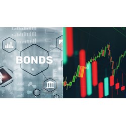 Báo cáo kết quả đợt chào bán trái phiếu ra công chúng mới nhất