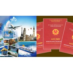 Những trường hợp nào không cấp phép kinh doanh lữ hành quốc tế?