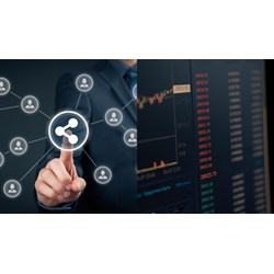 Báo cáo kết quả đợt phát hành cổ phiếu của công ty đại chúng để chào mua công khai