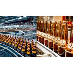 Quyền và nghĩa vụ doanh nghiệp sản xuất rượu công nghiệp là gì?
