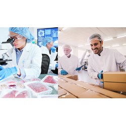 Nhiệm vụ của Trưởng đoàn thẩm định an toàn thực phẩm thủy sản xuất khẩu