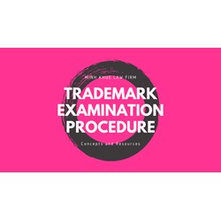 Navigating the TM Maze: Guide to Examination Process in Vietnam