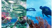 Điều kiện cơ sở đào tạo cấp chứng chỉ người hướng dẫn lặn cấp độ 1