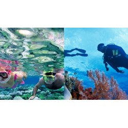 Điều kiện cơ sở đào tạo cấp chứng chỉ người hướng dẫn lặn cấp độ 1