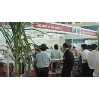 Mối quan hệ giữa người đại diện và Tổng công ty Mía Đường 1