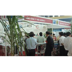 Mối quan hệ giữa người đại diện và Tổng công ty Mía Đường 1