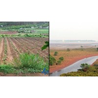 Một số quy định về quản lý đất bãi bồi ven sông, ven biển