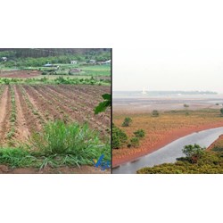 Một số quy định về quản lý đất bãi bồi ven sông, ven biển