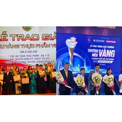 Giải Thương hiệu vàng Thực phẩm Việt Nam trao cho mấy doanh nghiệp?