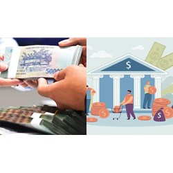 Ngân hàng thương mại cho tổ hợp tác vay vốn đầu tư với nhu cầu nào?