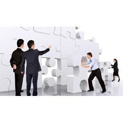 Hội đồng thành viên công ty TNHH 2 thành viên gồm người đại diện?