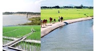 Đối tượng nào được hỗ trợ giá dịch vụ công ích thủy lợi?