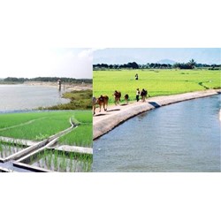 Đối tượng nào được hỗ trợ giá dịch vụ công ích thủy lợi?