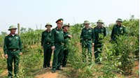 Quy định về cơ cấu tổ chức, chức năng và nhiệm vụ của Đoàn kinh tế