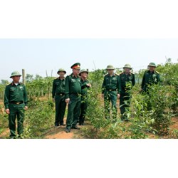 Quy định về cơ cấu tổ chức, chức năng và nhiệm vụ của Đoàn kinh tế