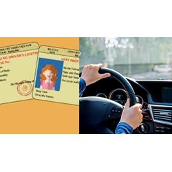 Mất hồ sơ gốc có xin cấp lại bằng lái xe được hay không?