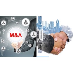 Cơ sở pháp lý của thủ tục mua bán và sáp nhập công ty năm 2024