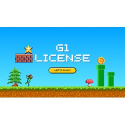 Vietnam Online Gaming G1 License: Procedure, Time, Cost and More