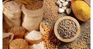Cơ quan có trách nhiệm kiểm tra chất lượng thức ăn chăn nuôi