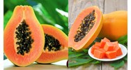 Yêu cầu tối thiểu cần đáp ứng chất lượng đu đủ quả tươi hạng II