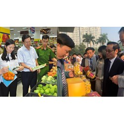 Số lượng thành viên Hội đồng đánh giá hàng nông lâm sản Việt Nam cấp Bộ