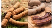 Quy định về chất lượng của me ngọt quả tươi hạng đặc biệt thế nào