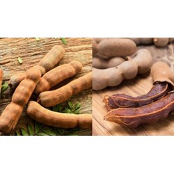 Quy định về chất lượng của me ngọt quả tươi hạng đặc biệt thế nào