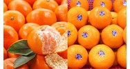Yêu cầu về độ chín và màu sắc của quýt quả tươi thế nào?